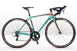 Xe đạp đua Cycletrack R740 