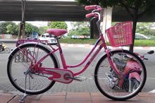 Xe mini cong 24 nan mau